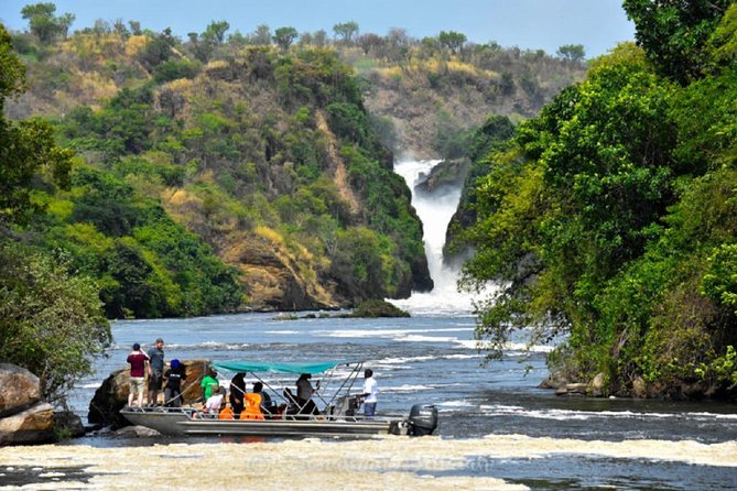 Uganda: 10-DAY Mid-Range Wildlife, Big-Five, Gorilla Safari - Tour Experience Details