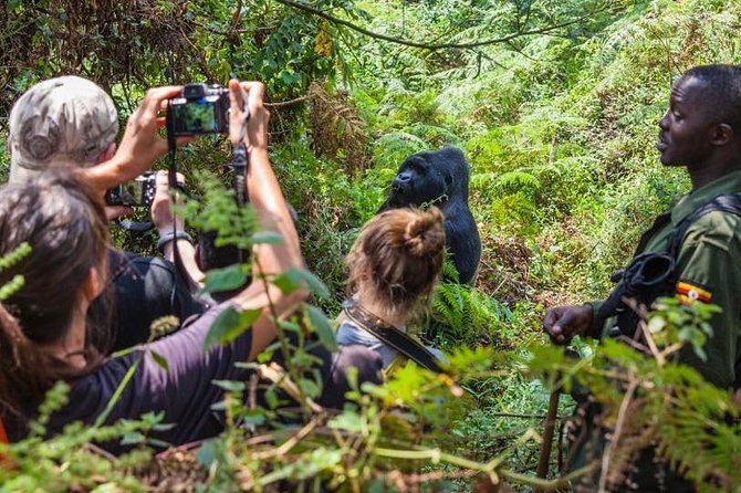 Uganda & Rwanda: 6-Day Adventure to Gorillas, Golden Monkeys.. - Booking Confirmation