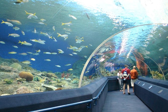 Underwater World at Pattaya Admission Ticket With Return Transfer - Activity Overview and Expectations