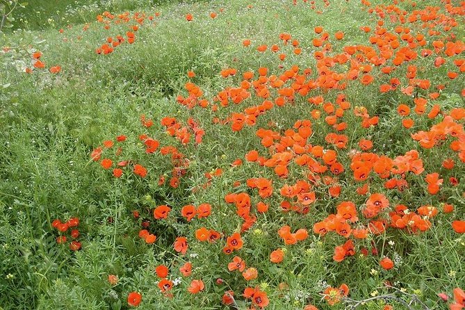 Undiscovered Uzbekistan: Ukhum Village From Samarkand - Village Experience