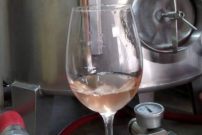 Unveiling Wine Secrets: Exclusive Tour With the Winemaker - Additional Information and Recommendations