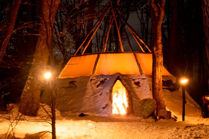 Ushuaia: Snow & Fire: Dog Sled and Snowshow By Night - Tour Overview