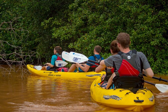 Uvita: Marino Ballena National Park Mangroves – Sea Kayaking