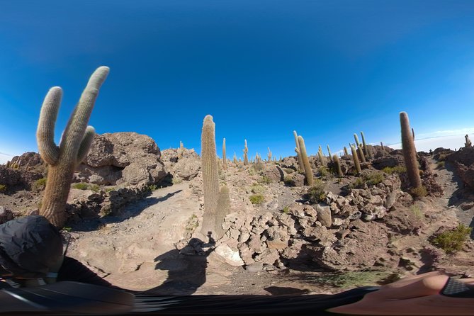 Uyuni FULL DAY SHARED - The Sum Up