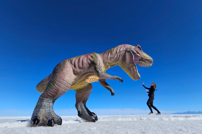 Uyuni Salt Flats, Hedionda Lagoon 2 Days/1 Night Private Service - Health and Accessibility Considerations