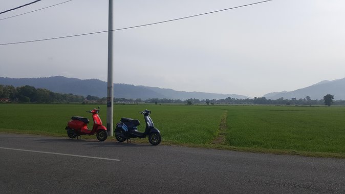 Vespa Morning Tour - Frequently Asked Questions