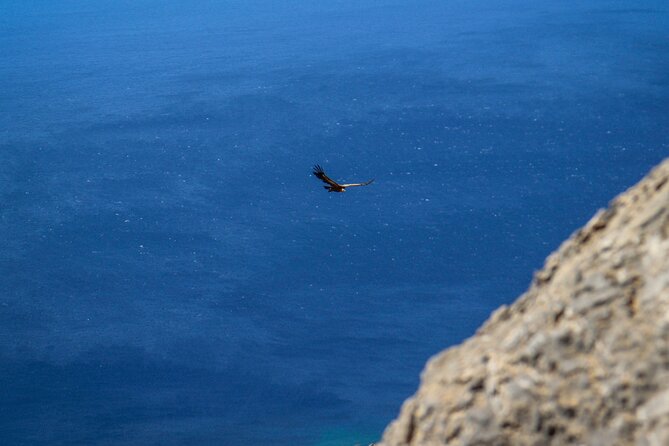 Via Ferrata in Crete at Asterousia Mountains - Inclusions and Exclusions