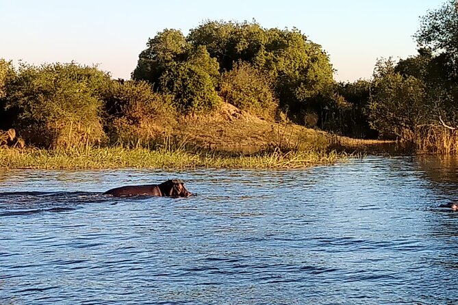 Victoria Falls Zambezi River With Sunrise Breakfast River Cruise - Participant Guidelines