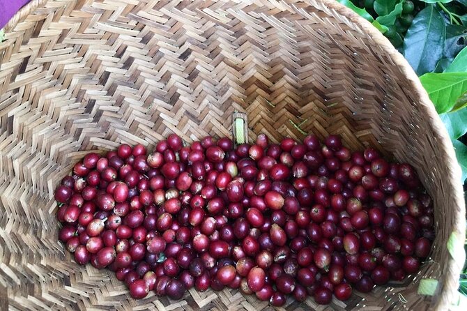 Vietnam Specialty Coffee Hand Brewing and Tasting Experience - Booking Information