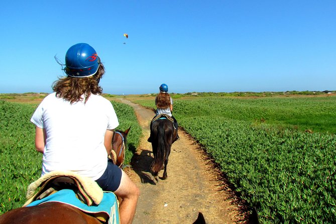 Viña Del Mar and Valparaiso Private Tour Including Horseriding - Frequently Asked Questions