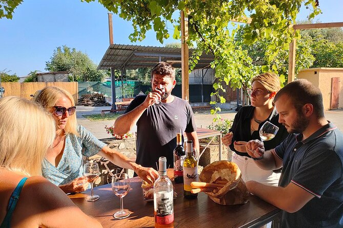 Vineyard Tour and Wine Tasting in Cavaion Veronese - Transportation Details