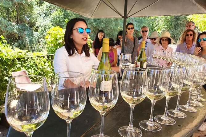 Visit Concha Y Toro Winery From Santiago - Transportation and Pick-Up Information