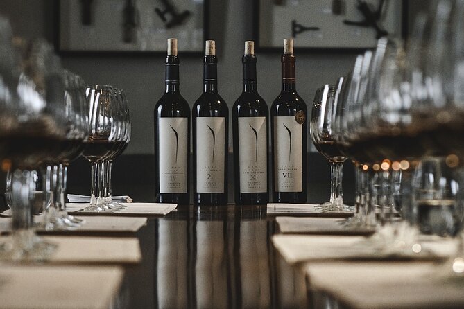 Visit Pulenta Estate Winery and Gourmet Lunch at Susana Balbo - Wine Tasting at Pulenta Estate