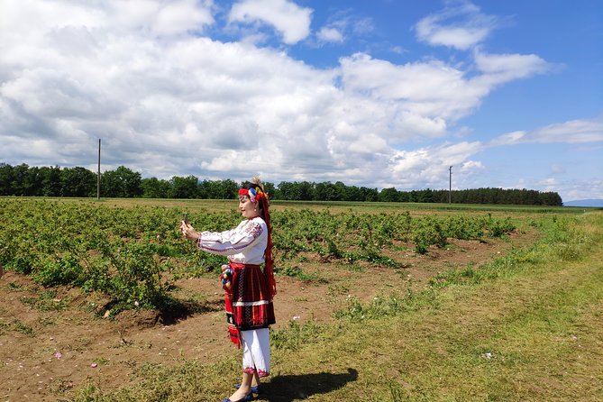 Visit to Lavender Fields & Lavender Oil Extraction Demo - Lavender Oil Extraction Workshop