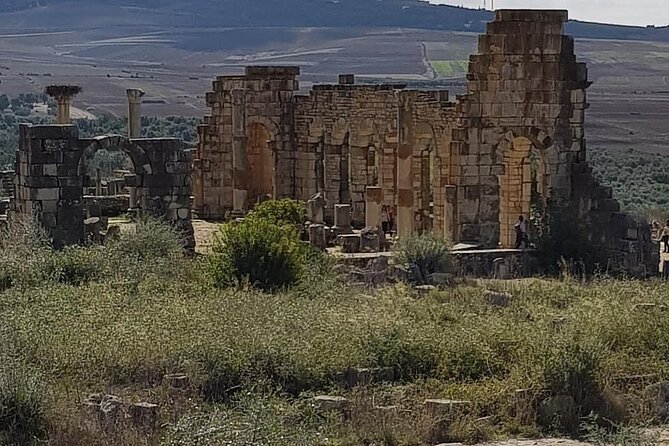 Volubilis & Meknes Day Trip From Fez - Accessibility Information