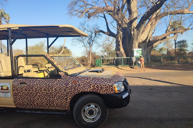 Vulture Safari Tour in Victoria Falls National Park Zimbabwe - Cancellation Policy