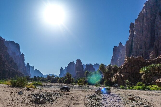 Wadi Al Disah Full Day Tour With Hotel Pickup - Pickup Logistics