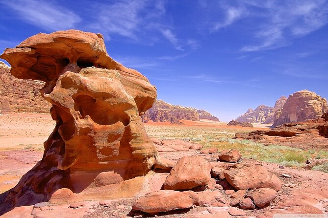 ‏Wadi Rum Trip From Aqaba, Round Trip, Includes a 2 -Hour Jeep - Operator Information