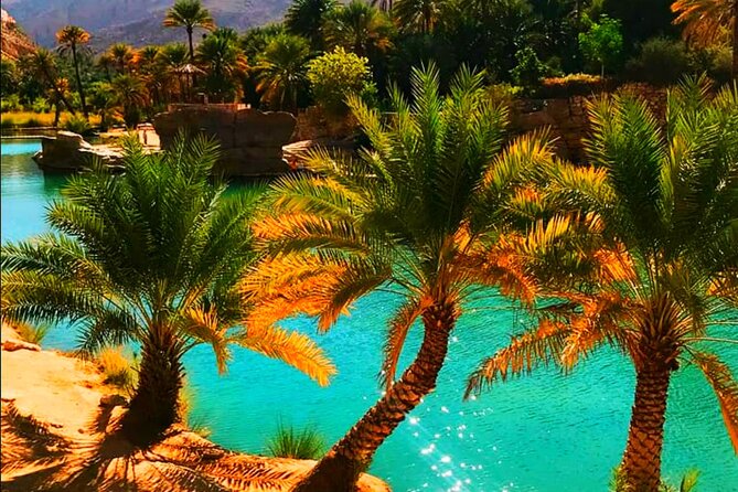 Wahiba Sands-Wadi Bani Khalid Full Day Oman Adventure - Local Cuisine Lunch