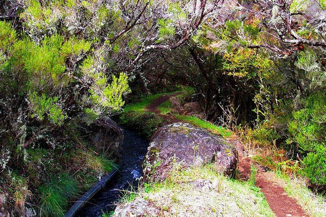 Walk - Madeira Lakes - Packing Essentials