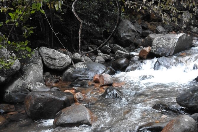 Waterfall and Sight Seeing Tour Around Belihuloya