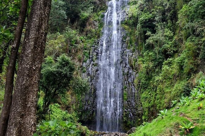 Waterfalls, Hot Spring & Local Coffee Tasting Tour - Itinerary Overview