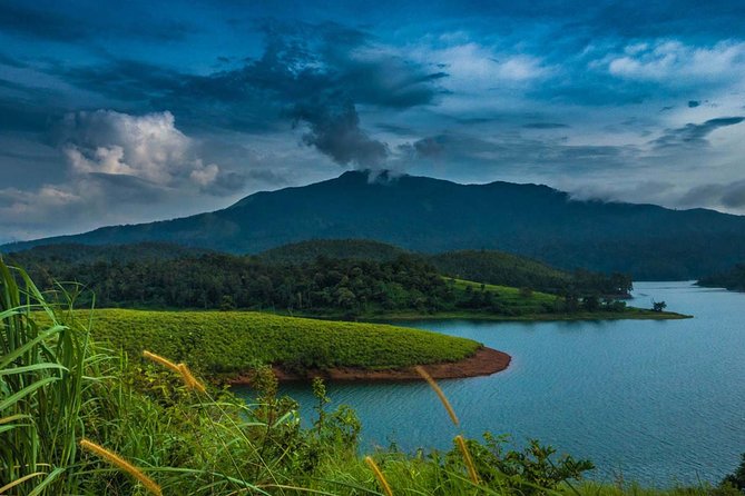 Wayanad Wildlife Heaven From Bangalore - Additional Tour Information