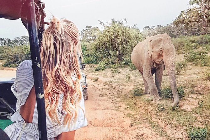 Wild Safari Udawalawe From Bentota