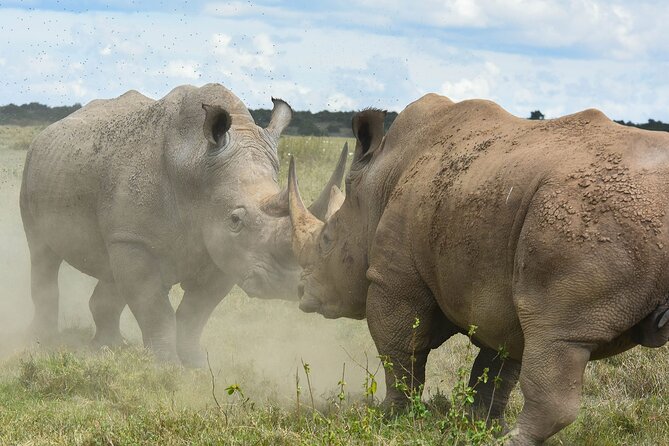 Wildlife Adventures of Central Kenya - Meeting Point and Start Time