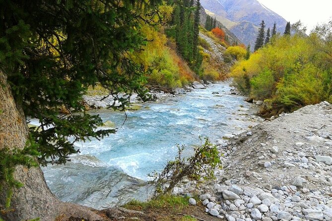 Wildlife Hiking Adventure in Ala Archa National Park - Traveler Responses