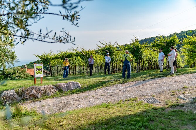 Wine and Food Tasting of Valpolicella and Amarone - Cancellation Policy