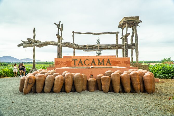 Wine and Pisco Experience From Ica or Huacachina - Itinerary and Schedule