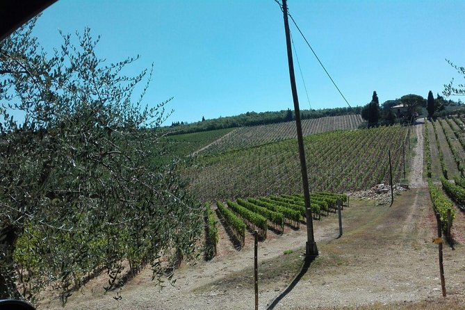 Wine Cheese and EVO Oil Tastings Southern Tuscany Fullday From Rome - Pricing and Booking Details