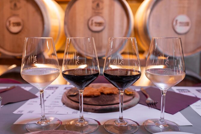 Wine Safari:Tour Of Poggio Ai Laghi Vineyard On a Vintage Offroad - Customer Reviews