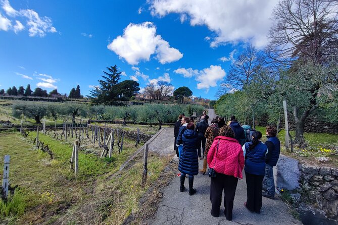 Wine Tasting on the Southern Slope of Etna - The Sum Up
