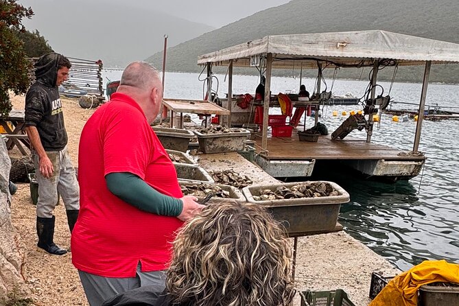 Wine Tasting - Pelješac - Ston - Oysters Tasting -Authentic Lunch - Professional Guide Details