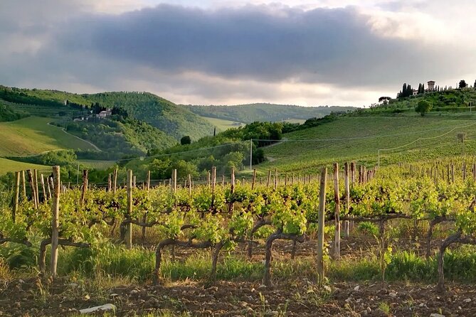Wine Tours in Tuscany Chianti Vineryes All Inclusive - Additional Information