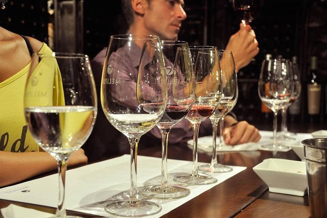 Winemaker for a Day. Learn How to Make Your Own Wine - Inclusions