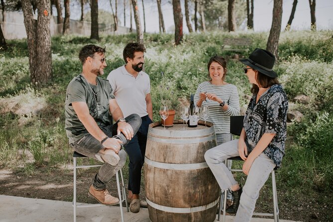 Wineries Tour In The Golan Heights With A Local Sommelier - Gourmet Pairings