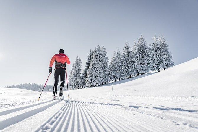 Winter Activities Gstaad - Certified Guides and Pickup Arrangements