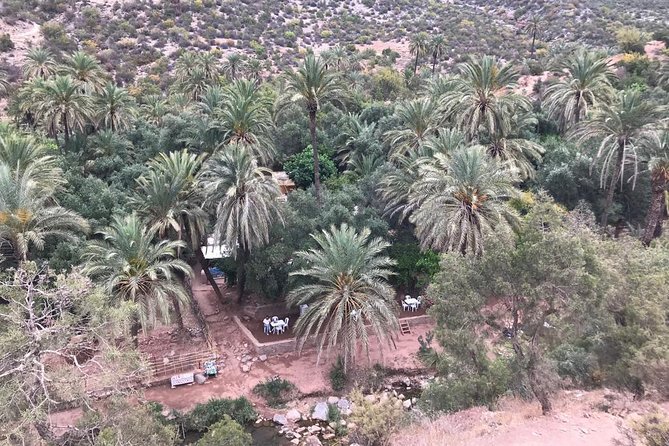 Wonderful Excursion to Paradise Valley - Pickup Information