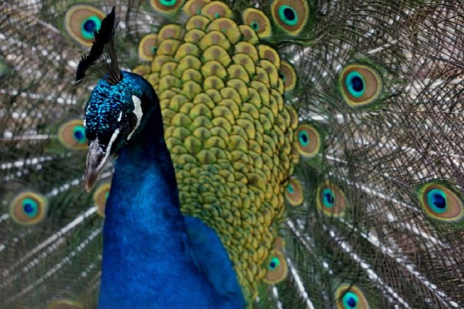 Wroclaw: Zoo With Private Transport and Tickets - Pricing Information
