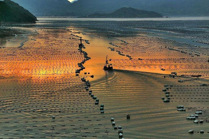 Xiapu Mudflat Photography Day Tour in Fujian - What To Expect During the Tour