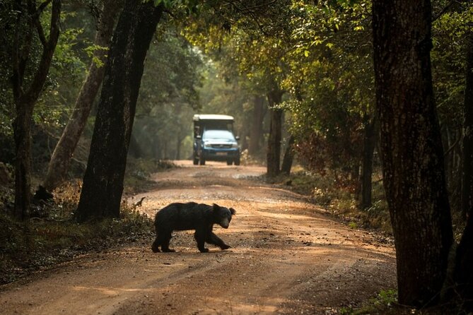 Yala National Park Safari From Bentota - Pickup Points
