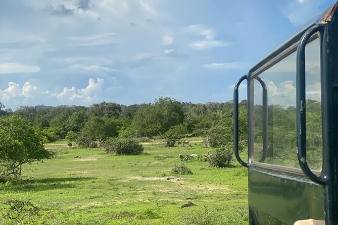 Yala Private Safari Jeep Half Day - Frequently Asked Questions