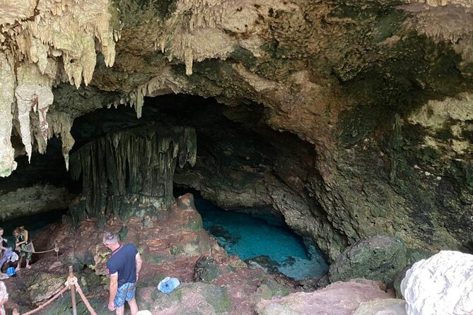 Zanzibar: Kuza Cave & Seaweed Farm - Booking Process