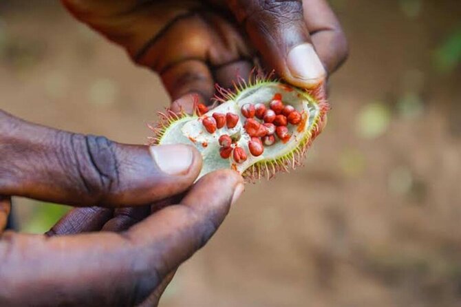 Zanzibar: Walking Spice Tour With Guide - Pickup Information
