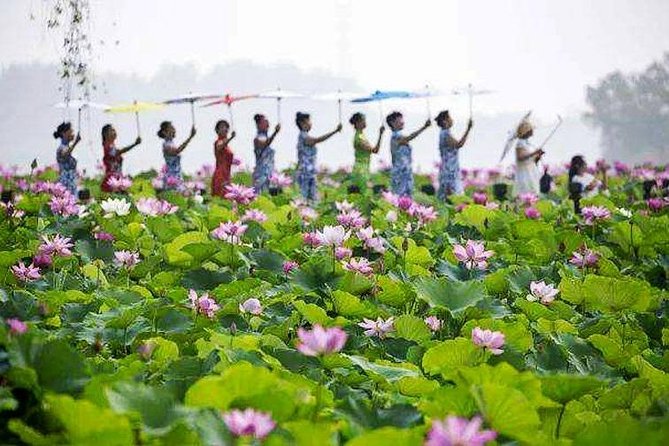 Zhenjiang Self-Guided Tour From Nanjing With Private Car and Driver Service - Pricing Details