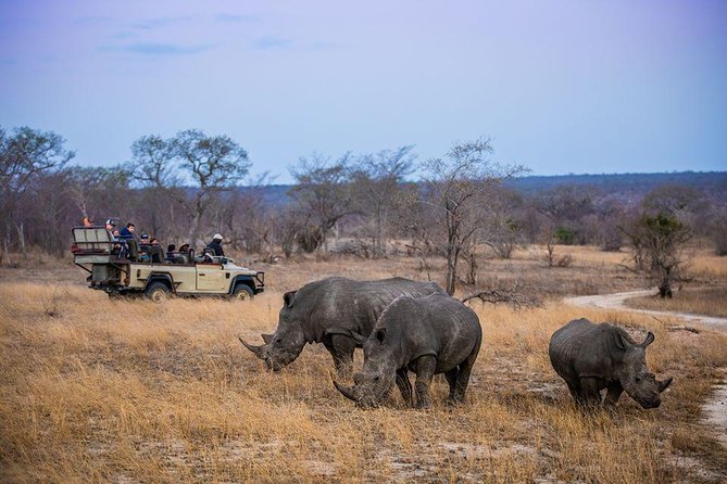 Zimbabwe Mid Luxury 6 Days Holiday Departing From Victoria Falls. - End Point Logistics