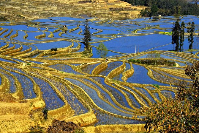 4days Private Tour Stone Forest Yuanyang Terrace Jianshui Old Town From Kunming - Good To Know